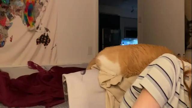 Image 6 of vanessapark Stream on Chaturbate on 2 months ago