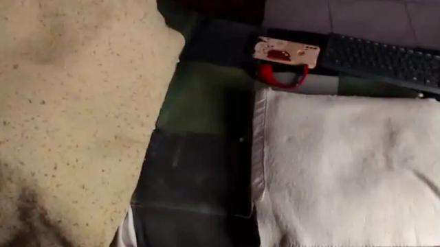 Image 11 of velvet_lips01 Stream on Chaturbate on 13 months ago