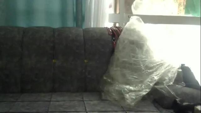 Image 11 of velvet_temptress Stream on Chaturbate on 1 month ago