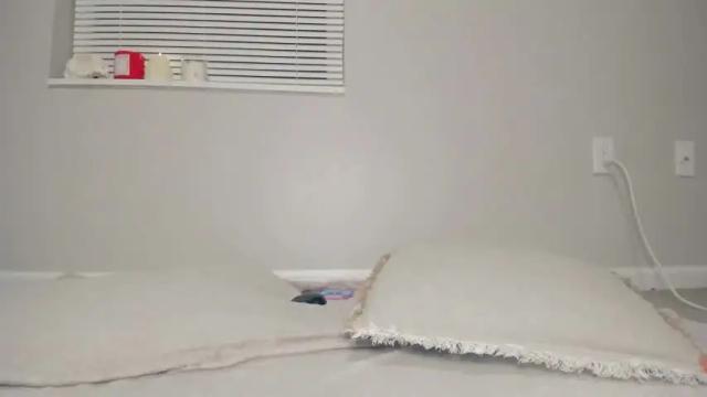 Image 3 of venicebtchh Stream on Chaturbate on 1 month ago