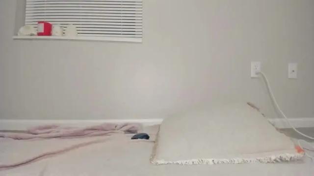 Image 6 of venicebtchh Stream on Chaturbate on 1 month ago