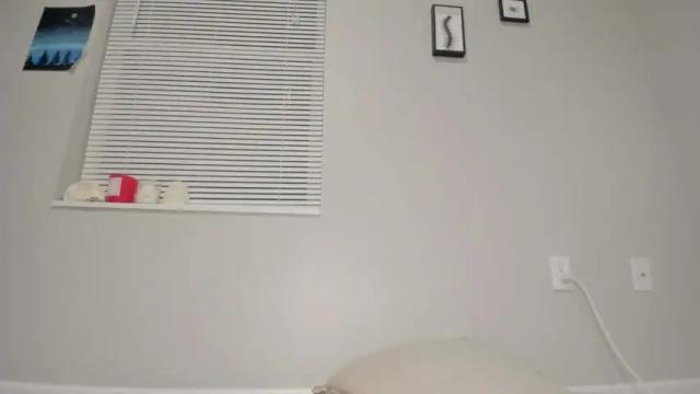 Image 7 of venicebtchh Stream on Chaturbate on 1 month ago