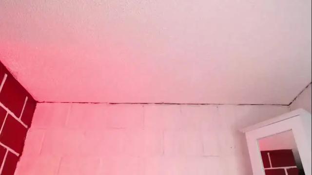 Image 12 of venus_megan Stream on Chaturbate on 2 months ago