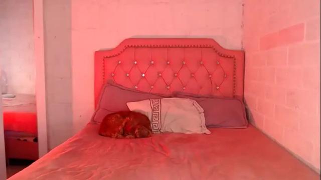 Image 11 of venus_megan Stream on Chaturbate on 1 month ago