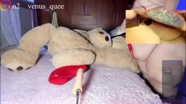 Image 11 of venus_queen_ Stream on Chaturbate on 1 month ago