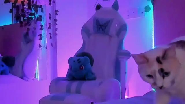 Thumbnail 1, venusfantasyy's Stream at Chaturbate, 16 months ago