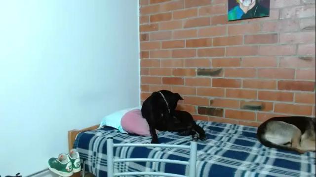 Thumbnail 2, veronicaelite16's Stream at Chaturbate, 1 month ago