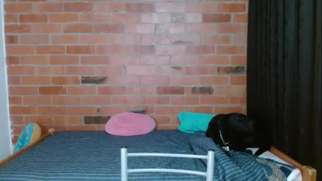Image 7 of veronicaelite16 Stream on Chaturbate on 23 days ago