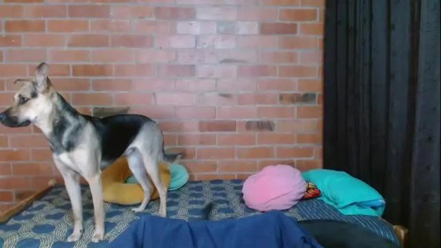 Thumbnail 2, veronicaelite16's Stream at Chaturbate, 14 days ago