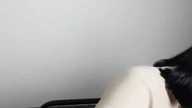Image 6 of veryveryshygirl Stream on Chaturbate on 12 months ago