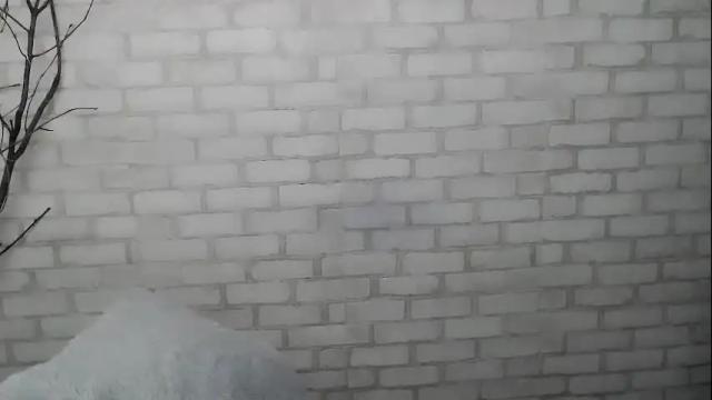 Image 10 of veryveryshygirl Stream on Chaturbate on 10 days ago
