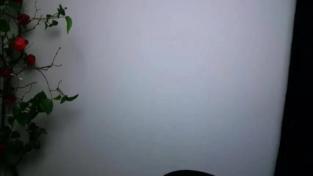 Thumbnail 1, veryveryshygirl's Stream at Chaturbate, 16 days ago