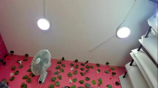 Image 11 of vickybrasho Stream on Chaturbate on 1 month ago