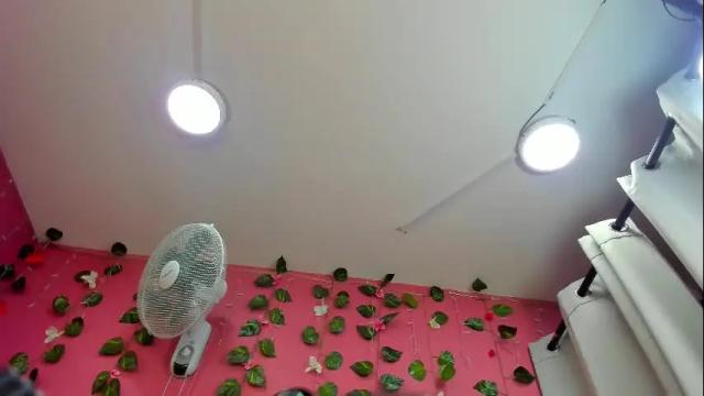Thumbnail 3, vickybrasho's Stream at Chaturbate, 1 month ago