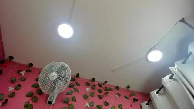 Image 8 of vickybrasho Stream on Chaturbate on 17 days ago