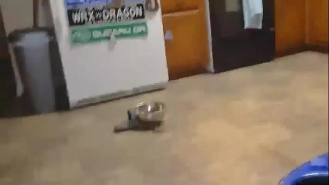 Image 7 of viclove122 Stream on Chaturbate on 1 month ago