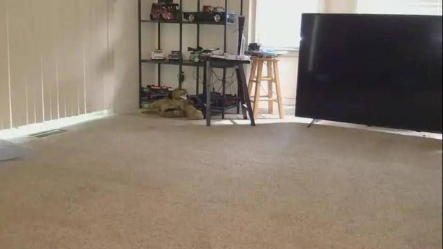 Thumbnail 1, viclove122's Stream at Chaturbate, 25 days ago