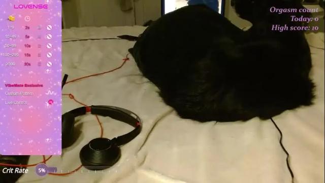 Image 6 of victoria97 Stream on Chaturbate on 6 days ago
