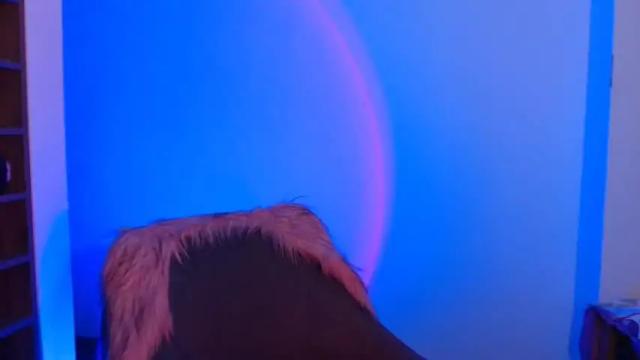 Thumbnail 2, victoria_riider's Stream at Chaturbate, 12 months ago
