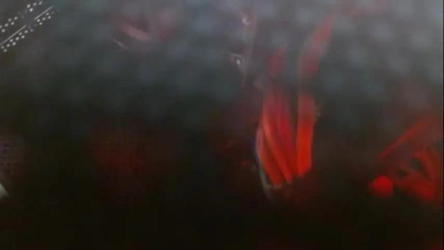 Image 12 of victoriiavegaa Stream on Chaturbate on 5 months ago