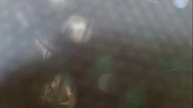 Image 2 of victoriiavegaa Stream on Chaturbate on 5 months ago
