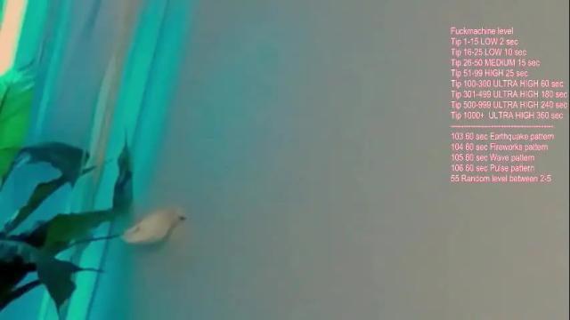 Image 7 of vikkusya Stream on Chaturbate on 1 month ago
