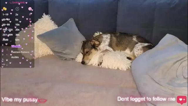 Thumbnail 3, viktoriacruses's Stream at Chaturbate, 1 day ago