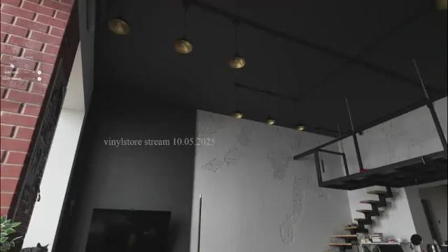 Image 10 of vinylstore Stream on Chaturbate on 1 month ago
