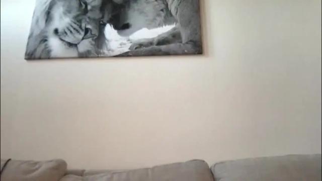 Image 10 of viola_beck Stream on Chaturbate on 5 months ago