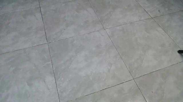 Thumbnail 2, violet_08's Stream at Chaturbate, 19 months ago