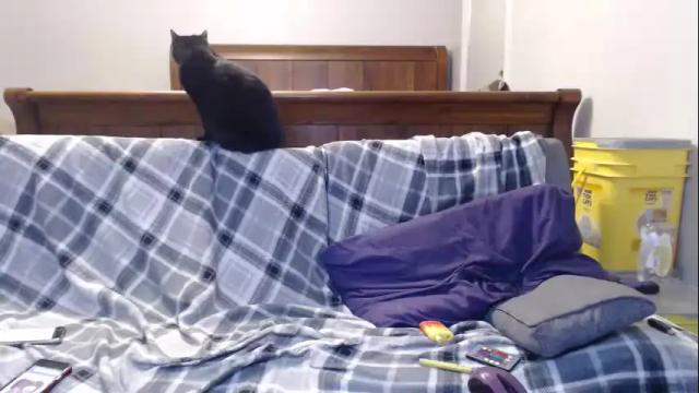 Image 7 of violet_sweets Stream on Chaturbate on 21 months ago