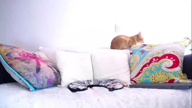 Image 3 of violetagomez_co Stream on Chaturbate on 1 month ago