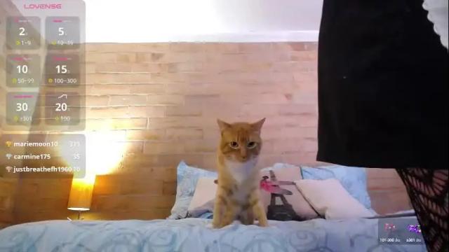 Image 11 of violetagomez_co Stream on Chaturbate on 3 days ago