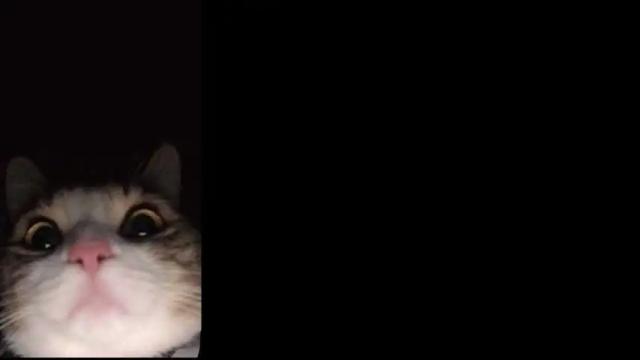 Image 4 of violetandken222 Stream on Chaturbate on 14 months ago