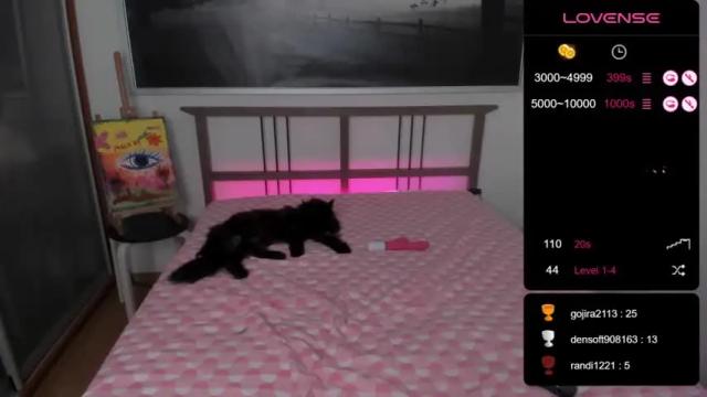 Image 11 of vivi__squirrel Stream on Chaturbate on 14 months ago