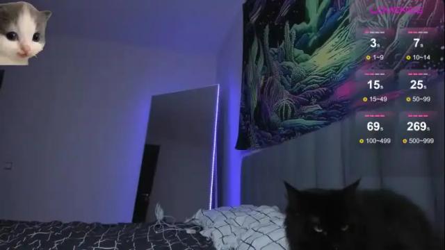 Image 3 of vivi__squirrel Stream on Chaturbate on 1 month ago