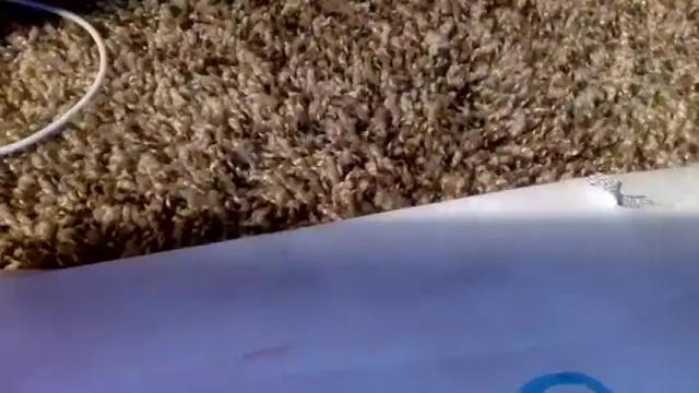 Thumbnail 2, vivianowo's Stream at Chaturbate, 4 months ago