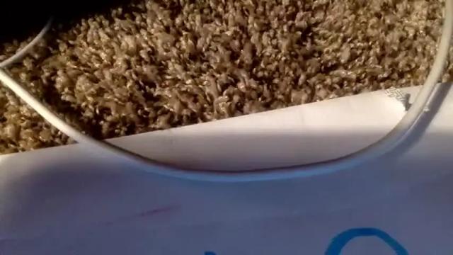 Image 7 of vivianowo Stream on Chaturbate on 4 months ago