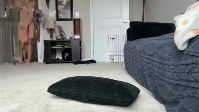 Image 3 of vixenliz Stream on Chaturbate on 1 month ago