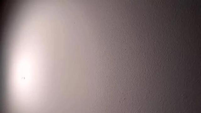 Image 12 of vixenp Stream on Chaturbate on 2 months ago