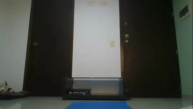 Thumbnail 1, vodka_and_lemonade's Stream at Chaturbate, 6 months ago