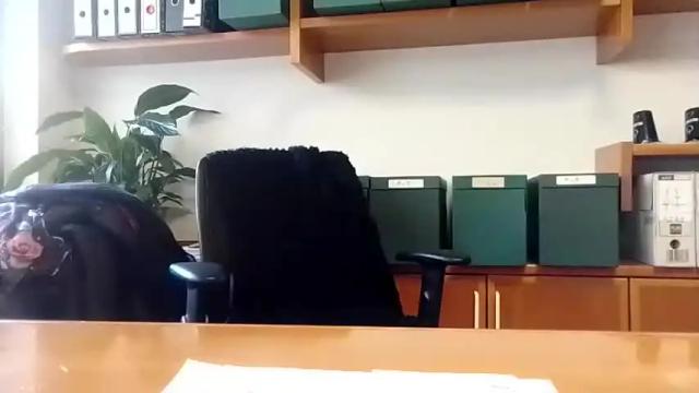 Image 8 of voluptuosaxl Stream on Chaturbate on 18 months ago