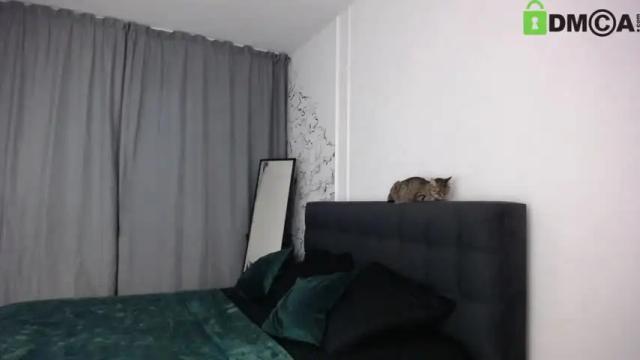 Thumbnail 3, vr_lol's Stream at Chaturbate, 20 months ago