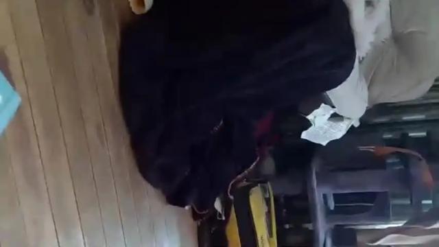 Image 8 of vtpride1012 Stream on Chaturbate on 14 months ago