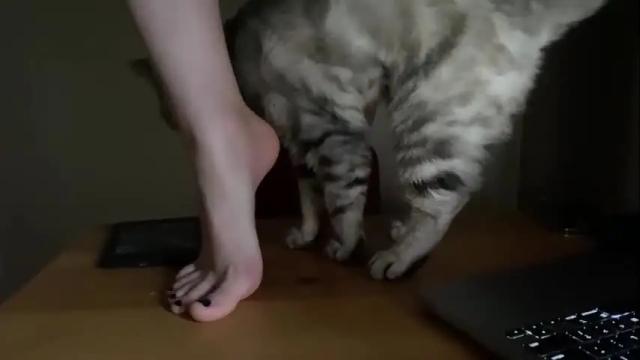 Image 8 of watchangel Stream on Chaturbate on 1 month ago