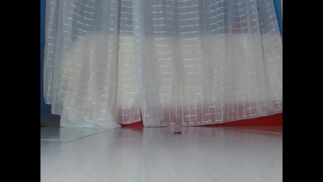 Thumbnail 1, wendy_rivera's Stream at Chaturbate, 24 days ago