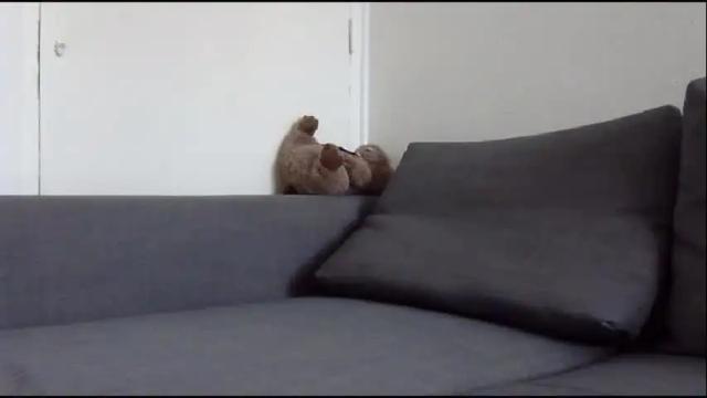 Image 4 of wet_pants2022 Stream on Chaturbate on 1 month ago