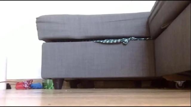 Image 12 of wet_pants2022 Stream on Chaturbate on 11 days ago