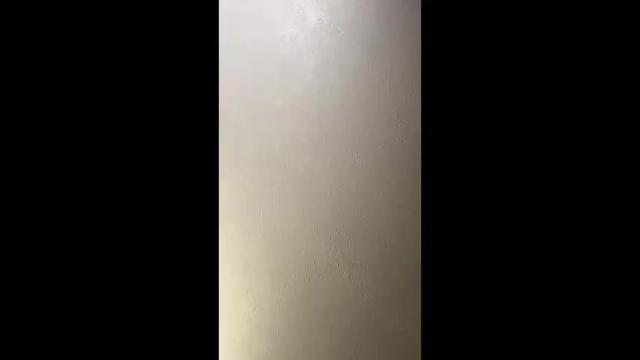 Image 11 of wetandcreamy69 Stream on Chaturbate on 13 months ago