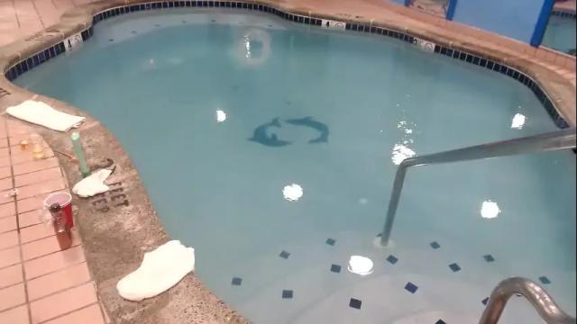 Image 7 of wheresmyqueenat Stream on Chaturbate on 2 months ago